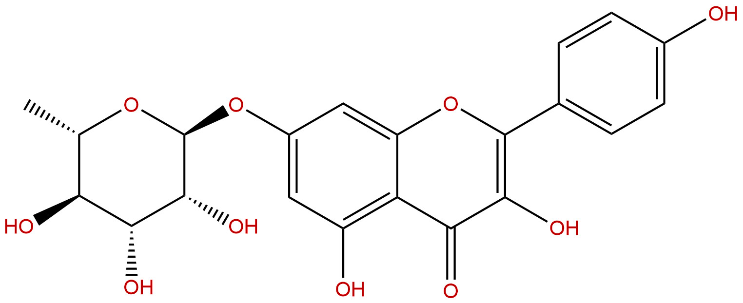 山柰酚-7-O-鼠李糖苷
