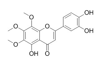 毒马草黄酮