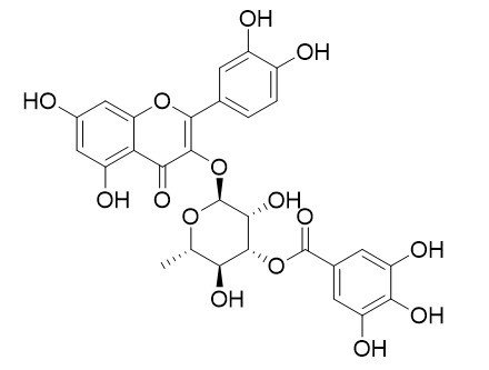 3″-O-没食子酰基槲皮苷