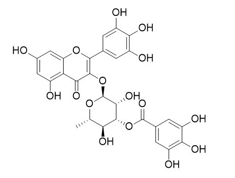 3''-O-没食子酰基杨梅苷