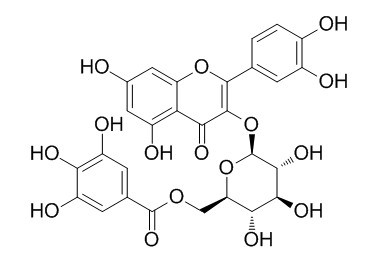 槲皮素3-O-(6''-没食子酰基)-β-D-葡萄糖苷