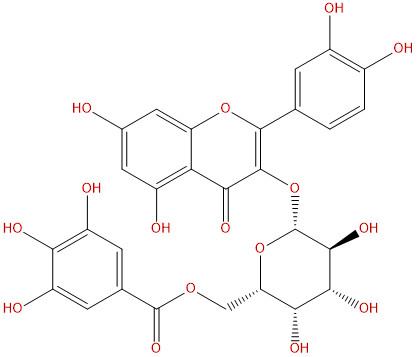 槲皮素3-O-(6''-没食子酰基)-β-D-半乳糖苷