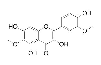 菠叶素