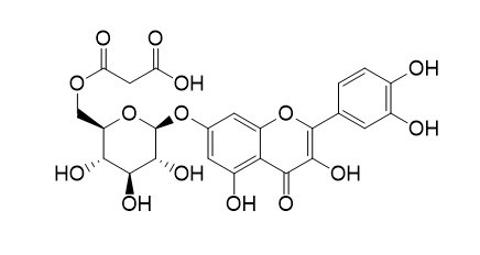 槲皮素-7-O-(6″-O-丙二酰基)-β-D-葡萄糖苷