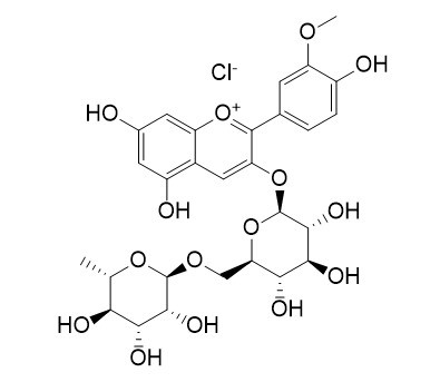 氯化芍药素-3-O-芸香糖苷