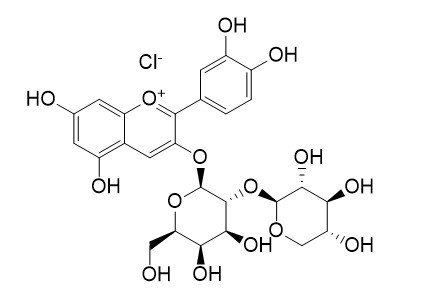 矢车菊素-3-O-半乳糖酸木糖甙氯化物
