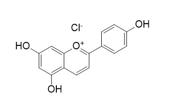 氯化芹菜定