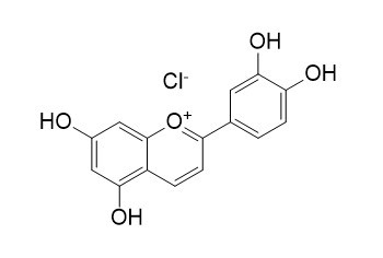 木犀草定氯化物