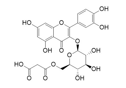 槲皮素-3-O-(6“-O-丙二酰基)-β-D-葡萄糖苷