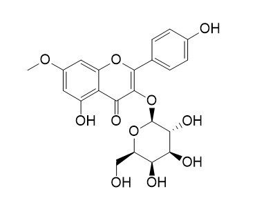 鼠李柠檬素 3-O-半乳糖苷