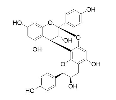 麻黄宁B