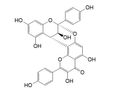 麻黄根素A