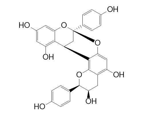 麻黄宁E