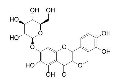 槲皮万寿菊素 3-甲氧基 7-葡萄糖苷