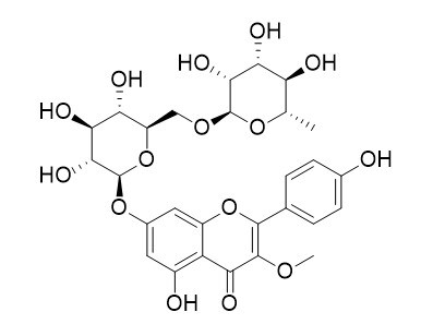 异山柰素 7-芸香糖苷