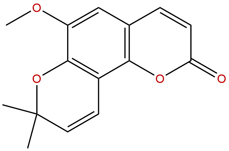 布拉易林