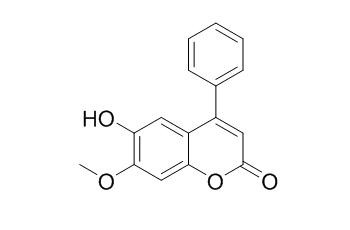 黄檀素