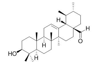 熊果醛