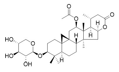 升麻内酯A