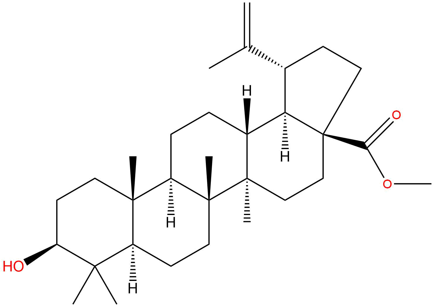 桦木酸甲酯