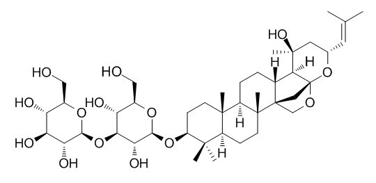 假马齿苋皂苷N2