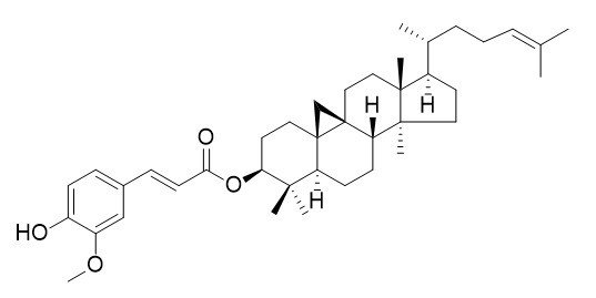环木菠萝烯醇阿魏酸酯