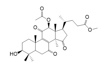 赤芝酸E2甲酯