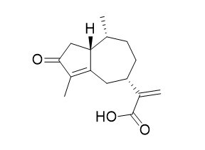 一枝蒿酮酸