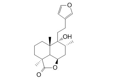 夏至草素