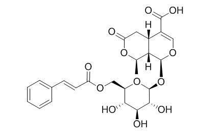 6'-O-反式-肉桂酰 8-表金吉苷酸