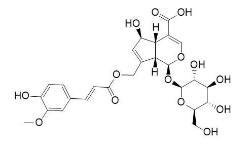 10-O-反式-p-阿魏酰鸡屎藤次苷