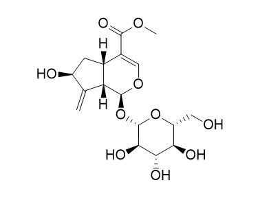 山栀子苷甲酯