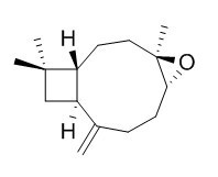 石竹素