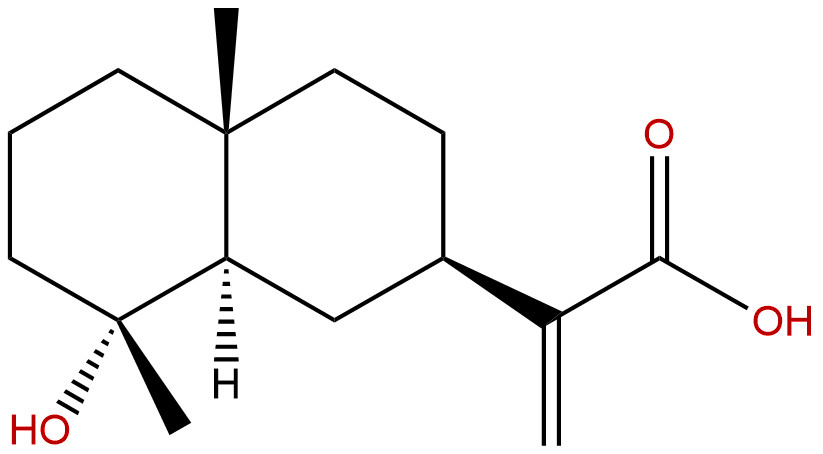 冬青叶豚草酸
