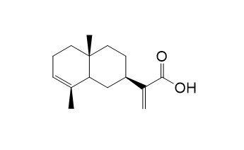 alpha-木香酸
