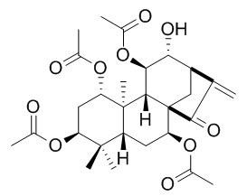 苍山香茶菜素
