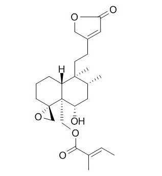 筋骨草素L2