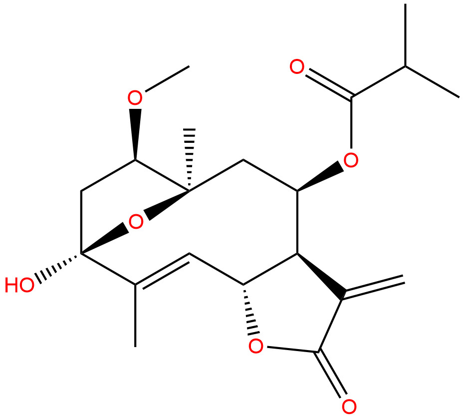 1β-甲氧基五味子叶素