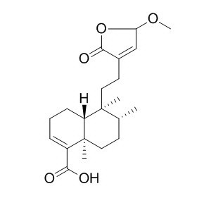 15-Methoxypatagonic acid