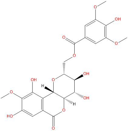 11-O-丁香酰基岩白菜素