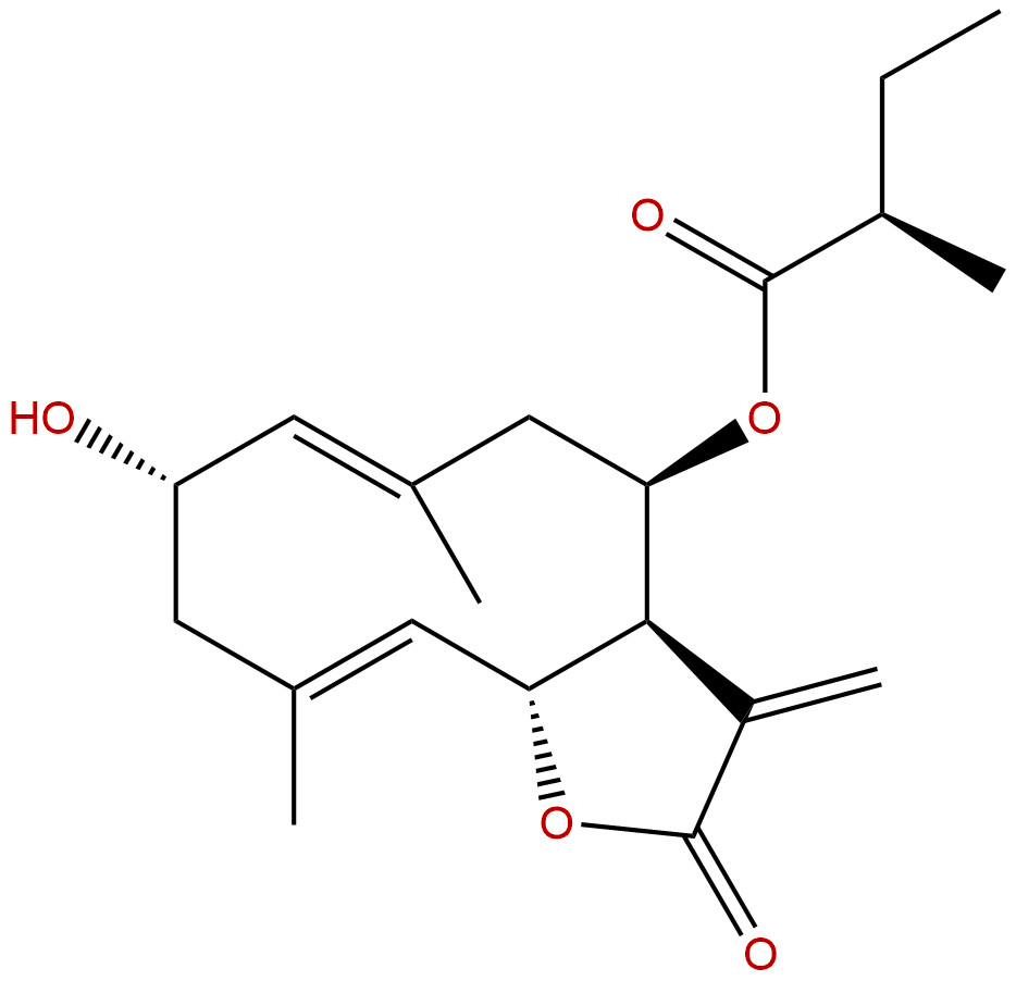 2α-Hydroxy-8β-(2-methylbutyryloxy)costunolide