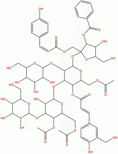 远志寡精A