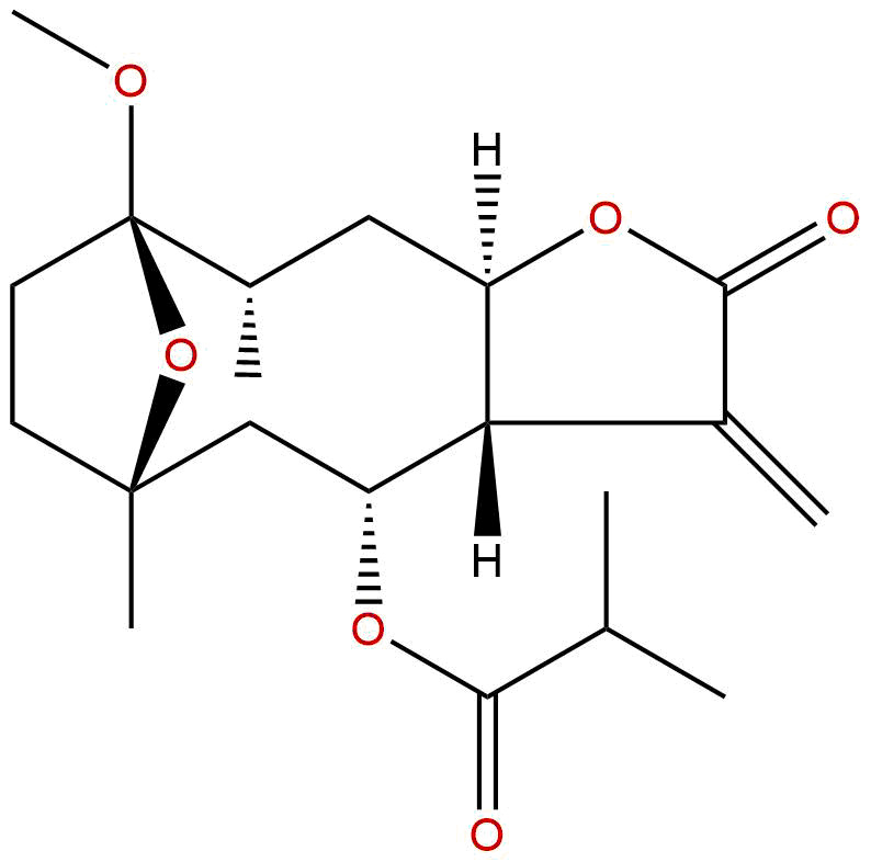 圆叶肿柄菊素D-3-甲醚
