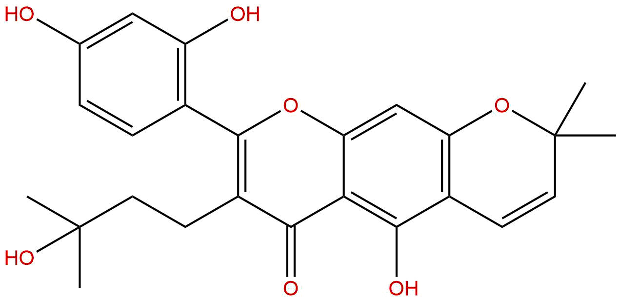 摩鲁新L