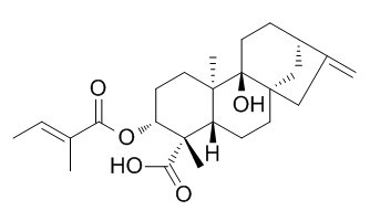 3α-Tigloyloxypterokaurene L3