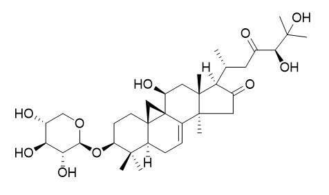 升麻苷 H2