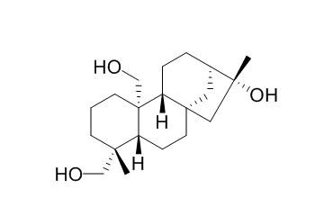 ent-Kaurane-16β,19,20-triol