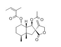 Bakkenolide B