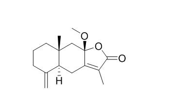 8β-甲氧基白术内酯I
