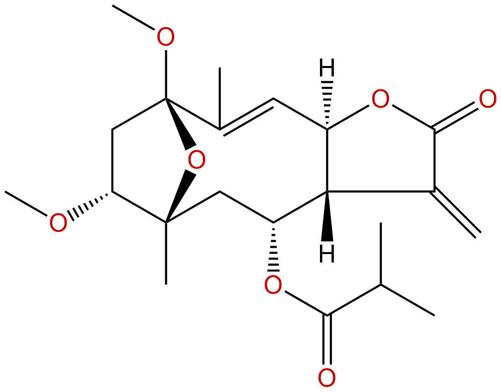 1β-甲氧基五味子叶素 3-O-甲醚